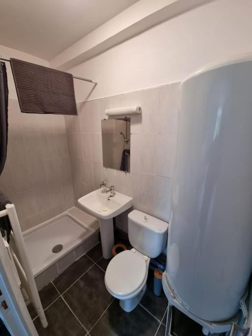 Le Vintage - - Proche Sanctuaire Appartement Lourdes